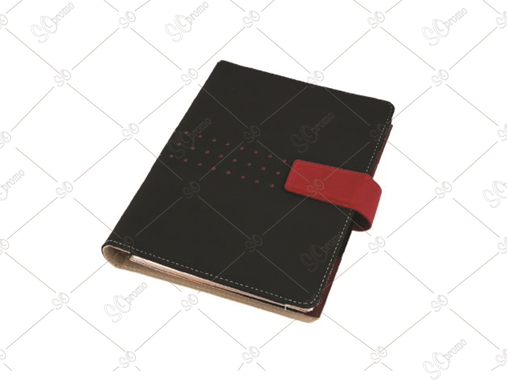 Organizer Diary