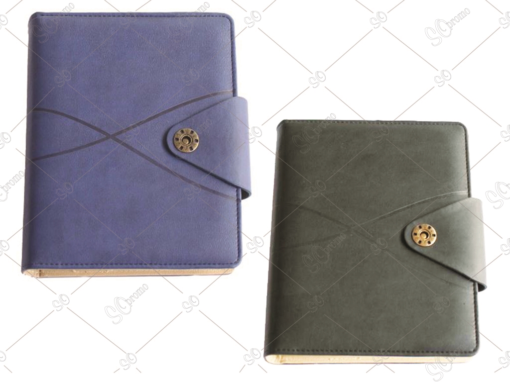 Organizer Diary